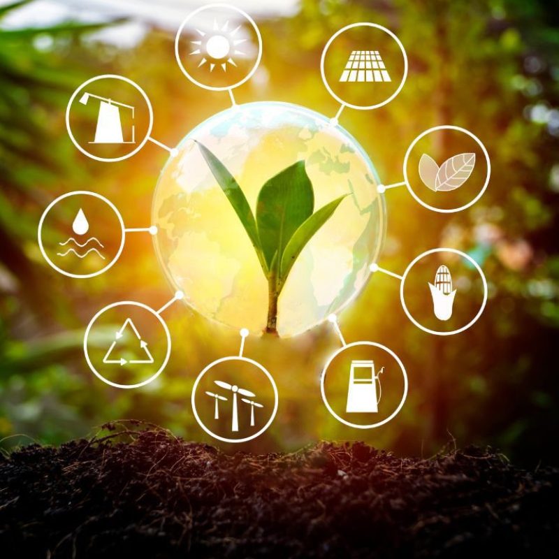 Environnement - Essia 2025